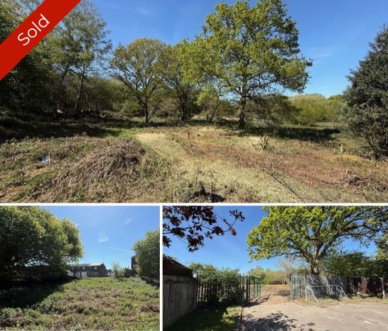 Terra Firma Auctions